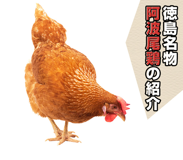 徳島名物阿波尾鶏の紹介
